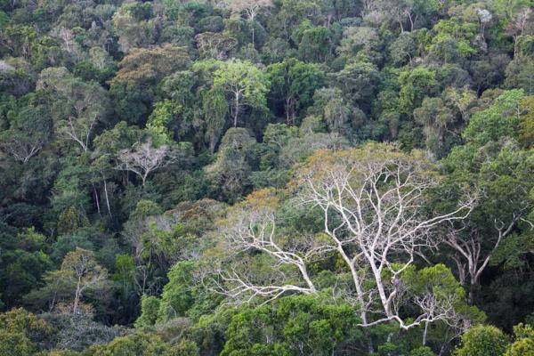 Conexão Amazônia: projeto que conecta municípios inicia etapa Amapá