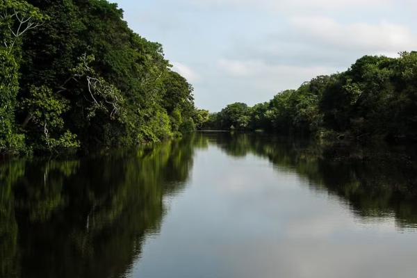  Quatro extrativistas desaparecem na Reserva do Rio Cajari