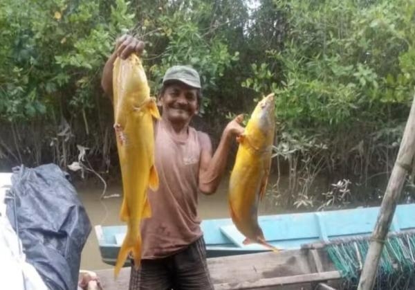  Pescador Desaparece e Mobiliza Comunidade e Autoridades no Amapá